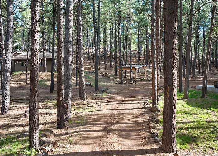 The Cozy * Flagstaff