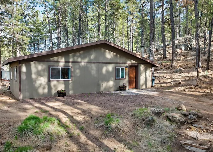 The Cozy Flagstaff
