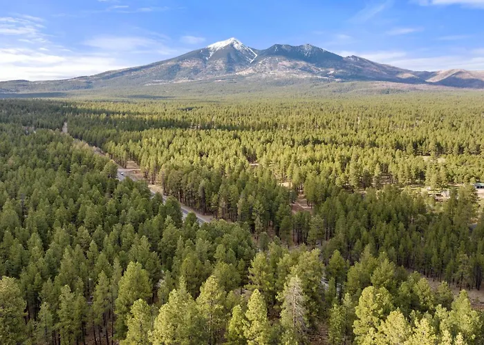 The Cozy * Flagstaff